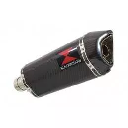 R850R ROADSTER exhaust tube de raccord et Hexagonale En Carbone Silencieux 300mm