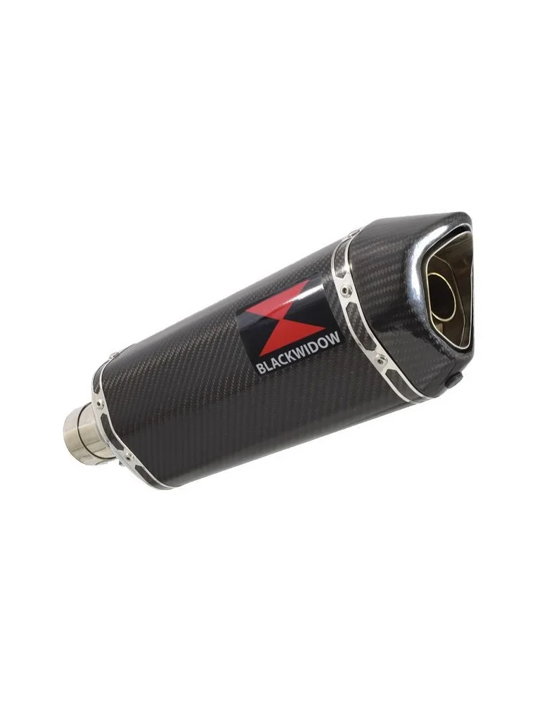 R850R ROADSTER exhaust tube de raccord et Hexagonale En Carbone Silencieux 300mm