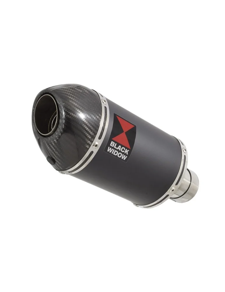 YZF-R 125 2014 - 2018 Hi Level Diamètre XL Ligne complète & Silencieux Ovale Noir En Inox + Canule En Carbone 200mm