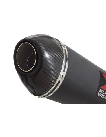 YZF-R 125 2014 - 2018 Passage Bas Diamètre XL Ligne complète & Silencieux Ovale Noir En Inox + Canule En Carbone  200mm