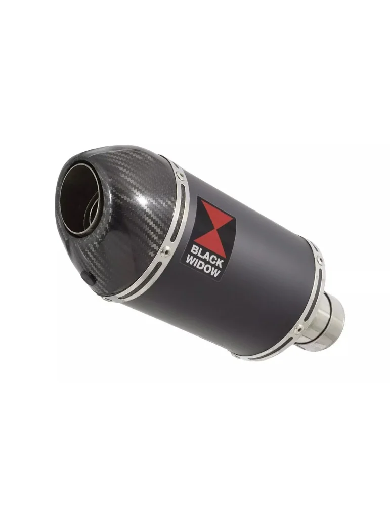 KAWASAKI ZX7R ZX-7R Ligne complète & Silencieux Ovale Noir En Inox + Canule En Carbone 200mm