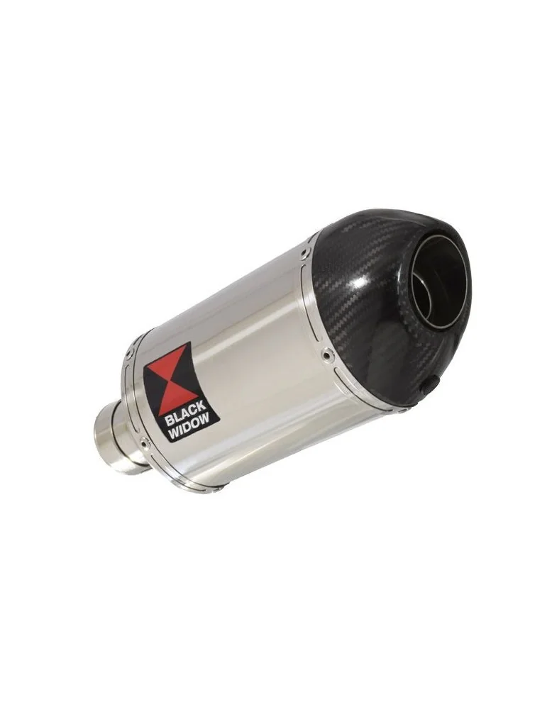 R850GS exhaust tube de raccord et Ovale Silencieux En Inox + carbon tip 200mm