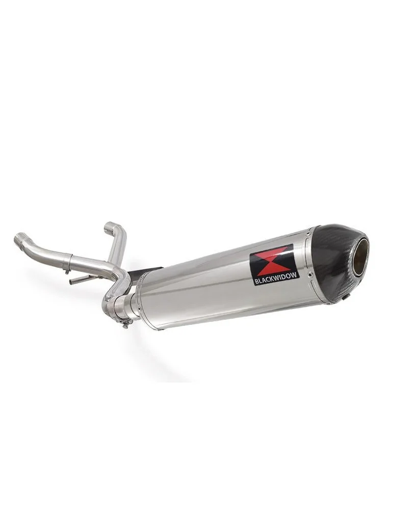 R850GS Décatalyseur exhaust collector & Ovale Silencieux En Inox + carbon tip 400mm