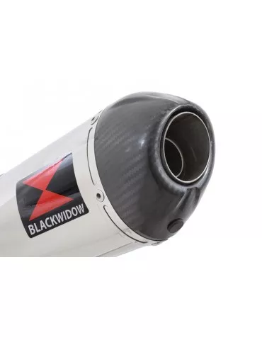 R850GS Décatalyseur exhaust collector & Ovale Silencieux En Inox + carbon tip 400mm