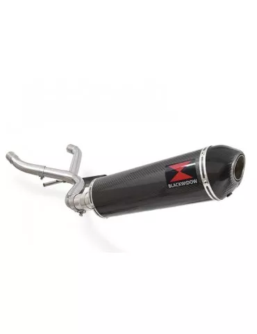 R850GS Décatalyseur exhaust collector & Ovale En Carbone Silencieux + carbon tip 400mm
