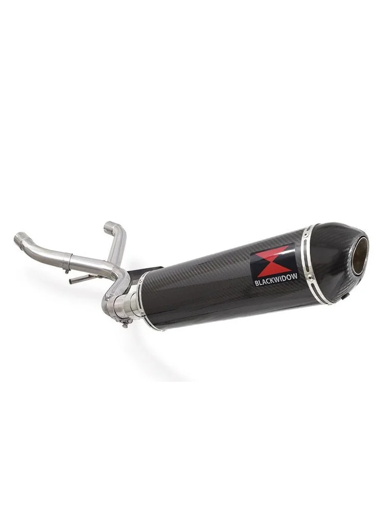 R850GS Décatalyseur exhaust collector & Ovale En Carbone Silencieux + carbon tip 400mm