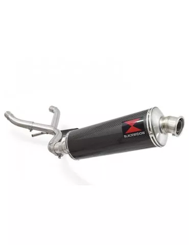 R850GS Décatalyseur exhaust collector & Ovale En Carbone Silencieux 400mm