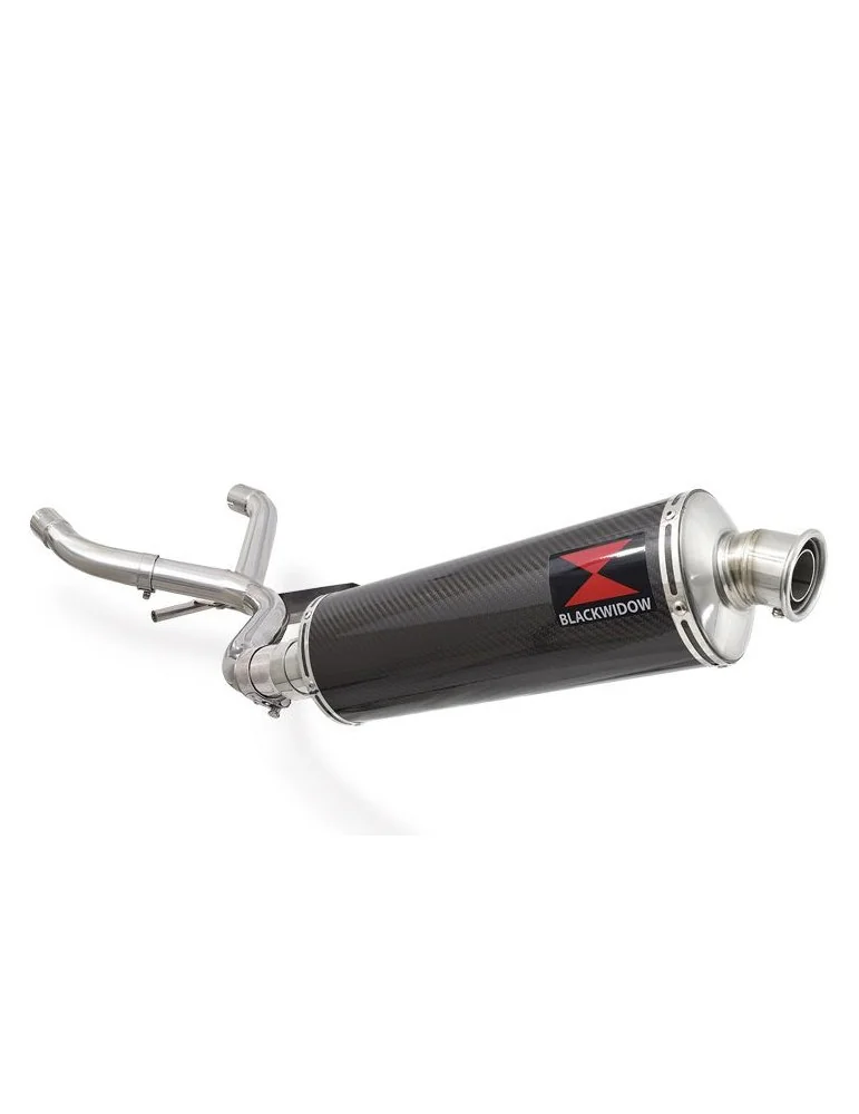 R850GS Décatalyseur exhaust collector & Ovale En Carbone Silencieux 400mm
