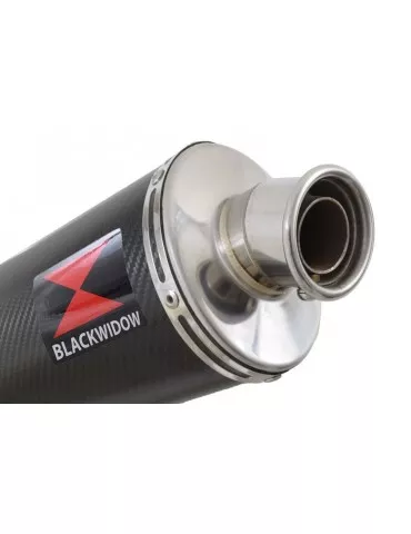 R850GS Décatalyseur exhaust collector & Ovale En Carbone Silencieux 400mm