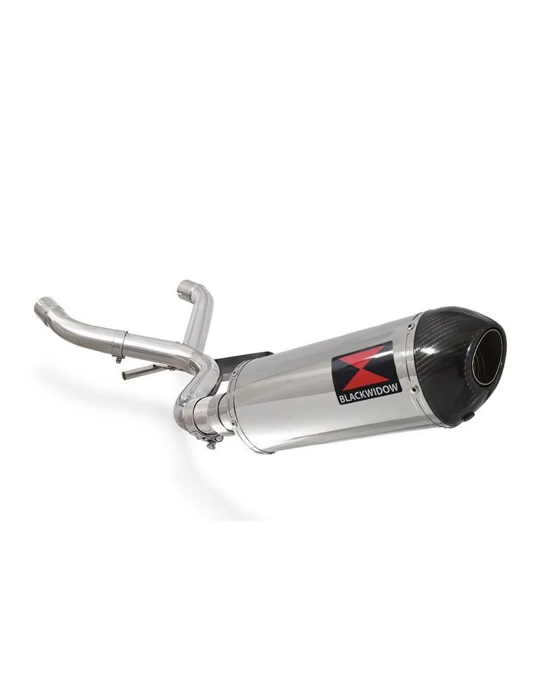 R850GS Décatalyseur exhaust collector & Ovale Silencieux En Inox + carbon tip 300mm