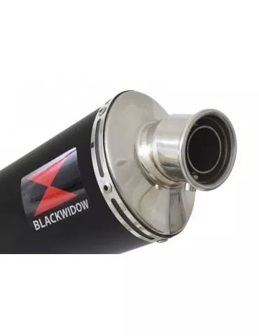 R850GS Décatalyseur exhaust collector & Silencieux Ovale Noir En Inox 300mm