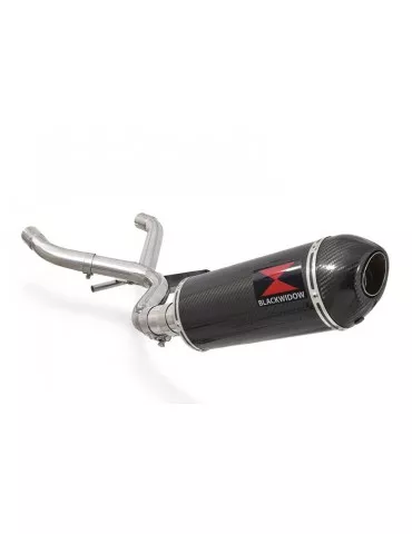 R850GS Décatalyseur exhaust collector & Ovale En Carbone Silencieux + carbon tip 300mm