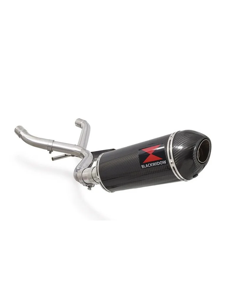 R850GS Décatalyseur exhaust collector & Ovale En Carbone Silencieux + carbon tip 300mm