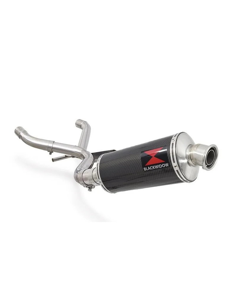 R850GS Décatalyseur exhaust collector & Ovale En Carbone Silencieux 300mm