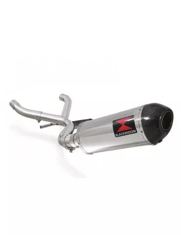 R850R ROADSTER Décatalyseur exhaust collector & Ovale Silencieux En Inox + carbon tip 300mm