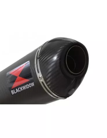 R850R ROADSTER Décatalyseur exhaust collector & Ovale En Carbone Silencieux + carbon tip 300mm
