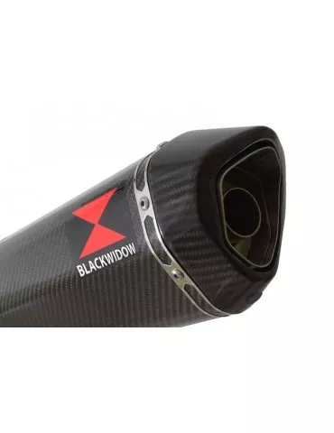R850R ROADSTER Décatalyseur exhaust collector & Hexagonale En Carbone Silencieux 300mm