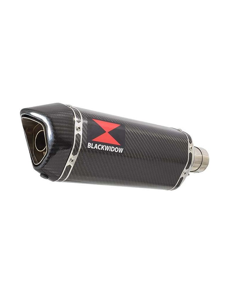 GSX1250FA GSX 1250 2010-2016 Refroidissement à Eau / Tube de raccord et Silencieux Hexagonale En Carbone 300mm