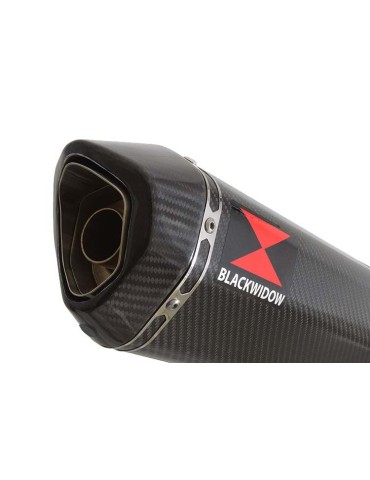 GSX1250FA GSX 1250 2010-2016 Refroidissement à Eau / Tube de raccord et Silencieux Hexagonale En Carbone 300mm