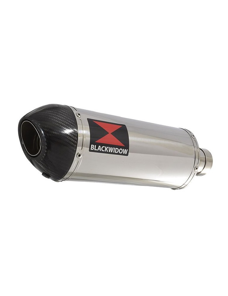 GSX 1400 GSX1400 4-1 Tube de raccord et Silencieux Ovale En Inox + Canule En Carbone 300mm