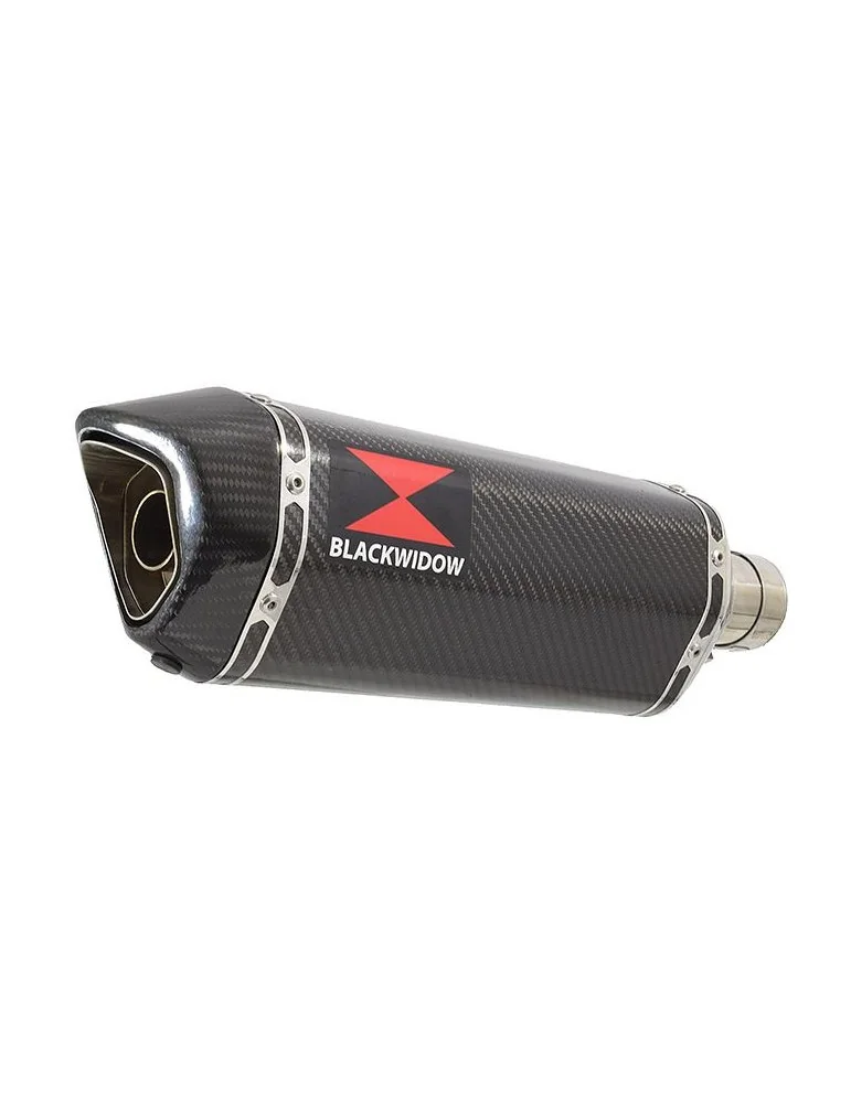 GSX 1400 GSX1400 4-1 Tube de raccord et Silencieux Hexagonale En Carbone 300mm