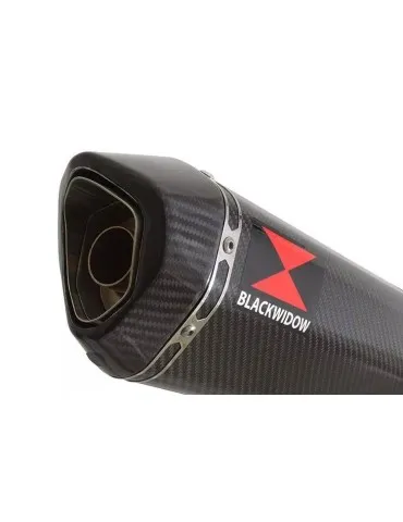 GSX600F GSX 600 F 1988-1997 4-1 Ligne complète & Silencieux Hexagonale En Carbone 300mm
