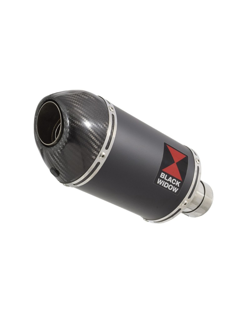 GSX1200 INAZUMA Performance Race Exhaust Black Stainless Ovale Silencieux & Carbon Tip 200mm