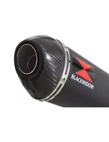 GSX750F GSX 750 F 1989-1997 4-1 Ligne complète & Silencieux Ovale Noir En Inox + Canule En Carbone 300mm