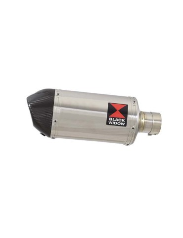 GSX 750 Inazuma Ligne complète & Silencieux Ovale En Inox + Canule en Carbone 200mm