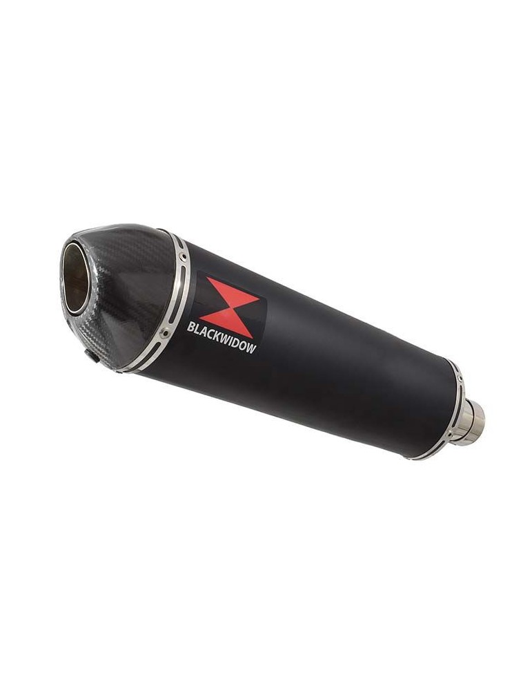 Yamaha YZF R1 98-01 Kit Silencieux & Silencieux Ovale Noir En Inox + Canule en Carbone 400mm