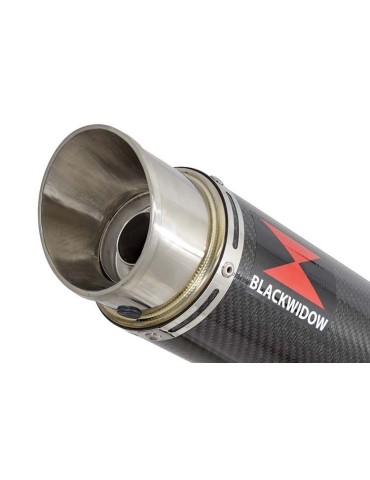 GSF650 Bandit 2005-2006 K5 K6 Ligne complète & Silencieux GP Rond En Carbone 360mm