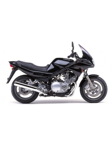 Silencieux sport Dominator : XJ 900 Diversion 1994 - 2003