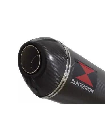 GSXR1000 K7 K8 4-1 Decata Conversion Kit + Silencieux Ovale En Carbone 400mm