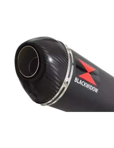 GSXR1000 K7 K8 4-1 Decata Conversion Kit + Silencieux Ovale Noir en Inox + Canule En Carbone 300mm