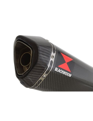 GSXR 1000 L2-L6 2012-2016 Decata Ligne complète + Silencieux Hexagonale En Carbone 300mm