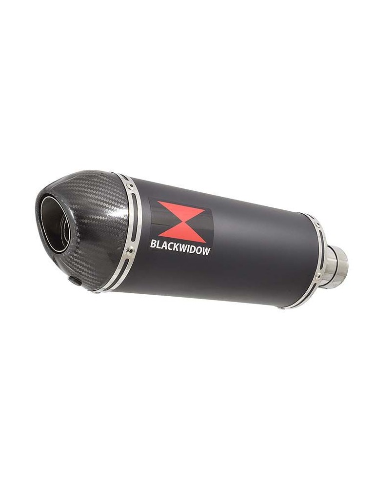 GSXR750 GSXR 750 L1 L2 L3 L4 L5 L6 2011-2016 Tube de raccord et Silencieux Ovale Noir En Inox + Canule En Carbone 300mm