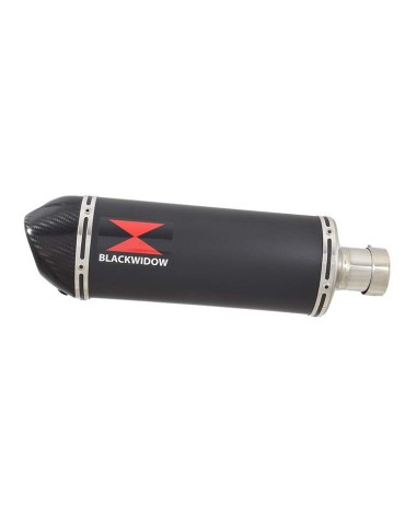CBR600 CBR 600 FX FY 1999 2000 tube de raccord et Silencieux Ovale Noir En Inox + En Carbone Tip 300mm
