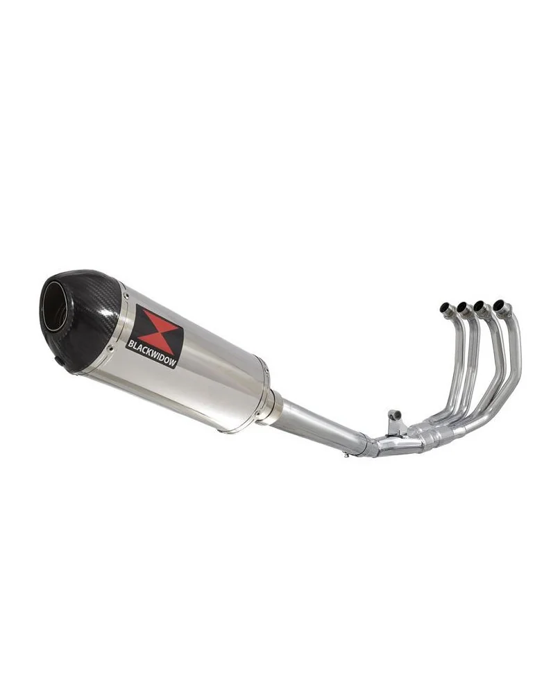 CBR600 CBR 600 FS1 FS2 Sport 2001 2002 Ligne complète & Silencieux Ovale En Inox + En Carbone Tip 300mm