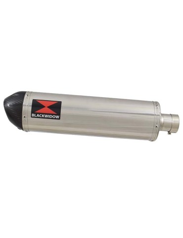 CBR600 CBR 600 F1 F2 F3 F4 F5 F6 F7 2001-2007 Ligne complète & Silencieux Ovale En Inox + Carbone Tip 400mm