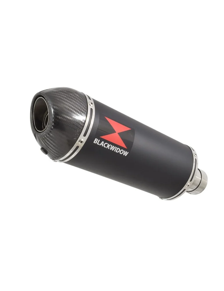 ZZR1200 ZZR 1200 4-1 Ligne complète & Silencieux Ovale Noir En Inox + Canule En Carbone 300mm