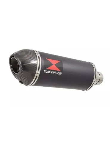 CBR400 CBR 400 NC23 NC 23 TRI ARM Ligne complète & Silencieux Ovale Noir En Inox + Carbone Tip 300mm