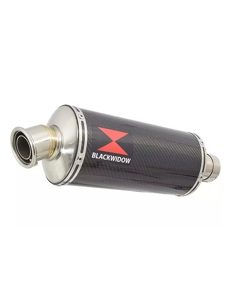 CBR400 CBR 400 NC23 NC 23 TRI ARM Ligne complète & Silencieux Ovale En Carbone 300mm