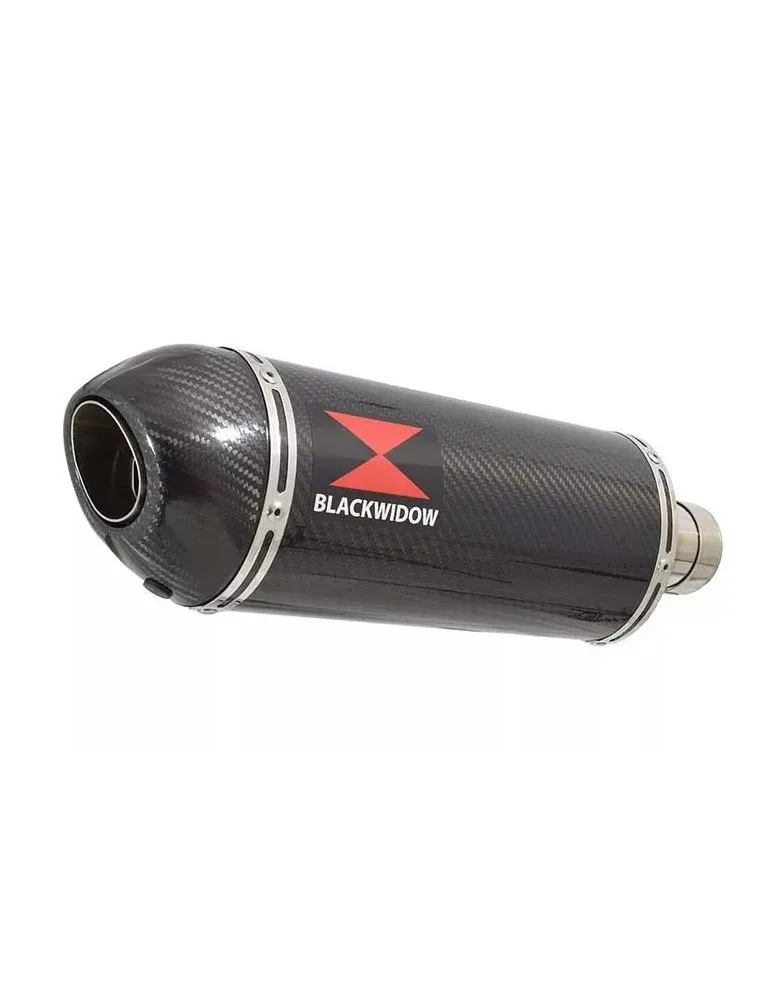 CBR400 CBR 400 NC23 NC 23 TRI ARM Ligne complète & Silencieux Ovale En Carbone + Carbone Tip 300mm