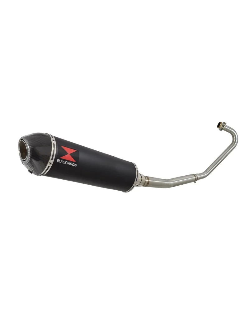 CBF125 2008-2017 Ligne complète & Silencieux Ovale Noir En Inox + En Carbone 400mm