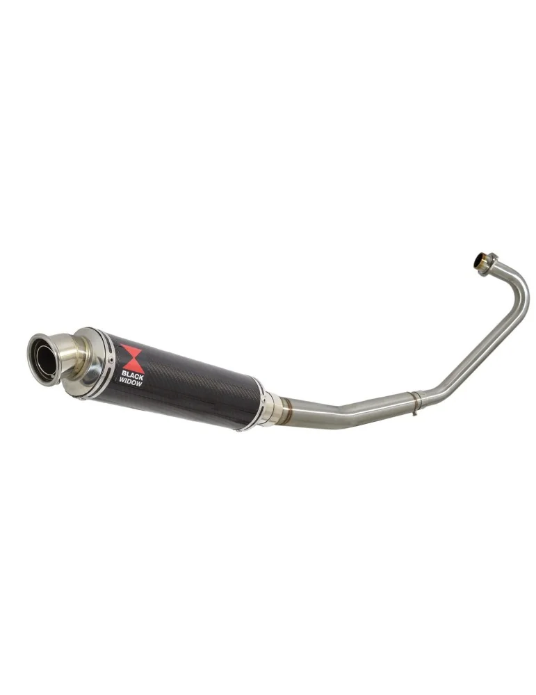 CBF125 2008-2017 Ligne complète & Silencieux Rond En Carbone 350mm
