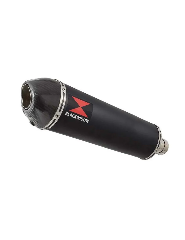 CB1300 S F SC54 2003-2015 Exhaust tube de raccord & Oval Noir Silencieux En Inox + En Carbone Tip 400mm