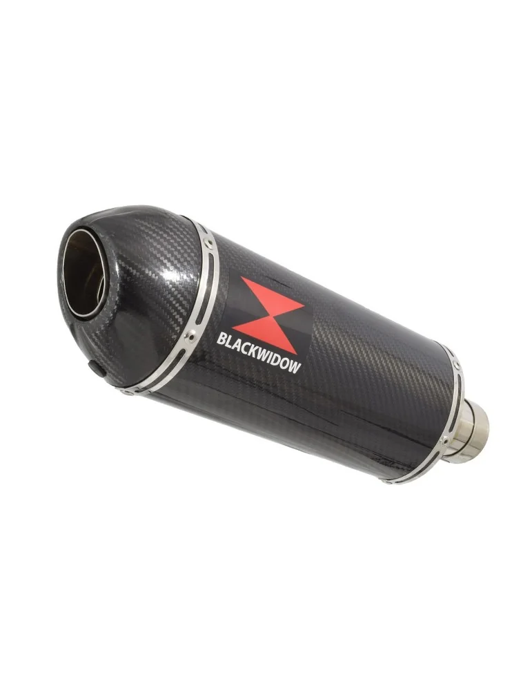 ZX-11 ZX11 4-1 Ligne complète & Silencieux Ovale En Carbone 300mm