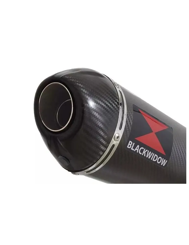 CBR1100 CBR 1100 XX Blackbird 4-1 Ligne complète & Silencieux Ovale En Carbone + Carbone Tip 300mm