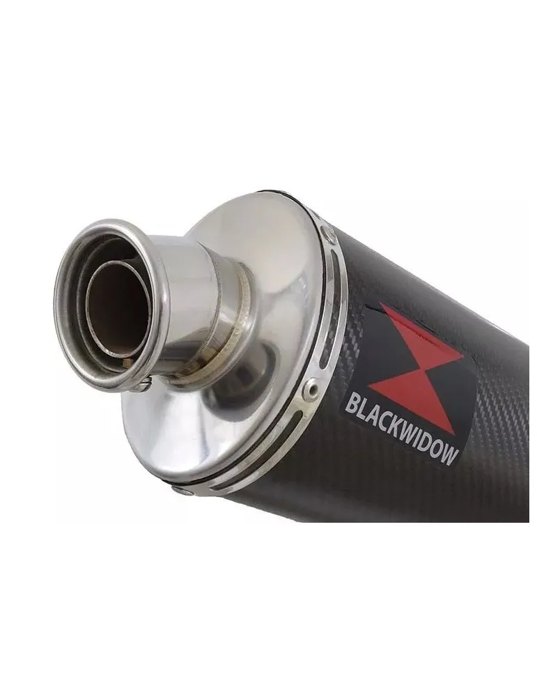 CBR1100 CBR 1100 XX Blackbird 4-1 Ligne complète & Silencieux Ovale En Carbone 400mm