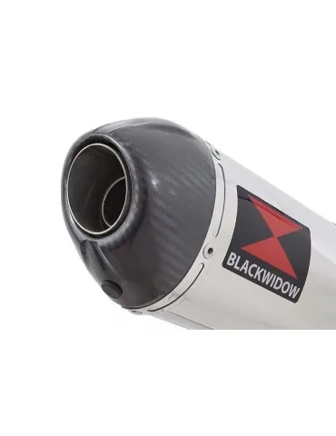 CBR1100 CBR 1100 XX Blackbird 4-1 Ligne complète & Silencieux Ovale En Inox + Carbone Tip 300mm